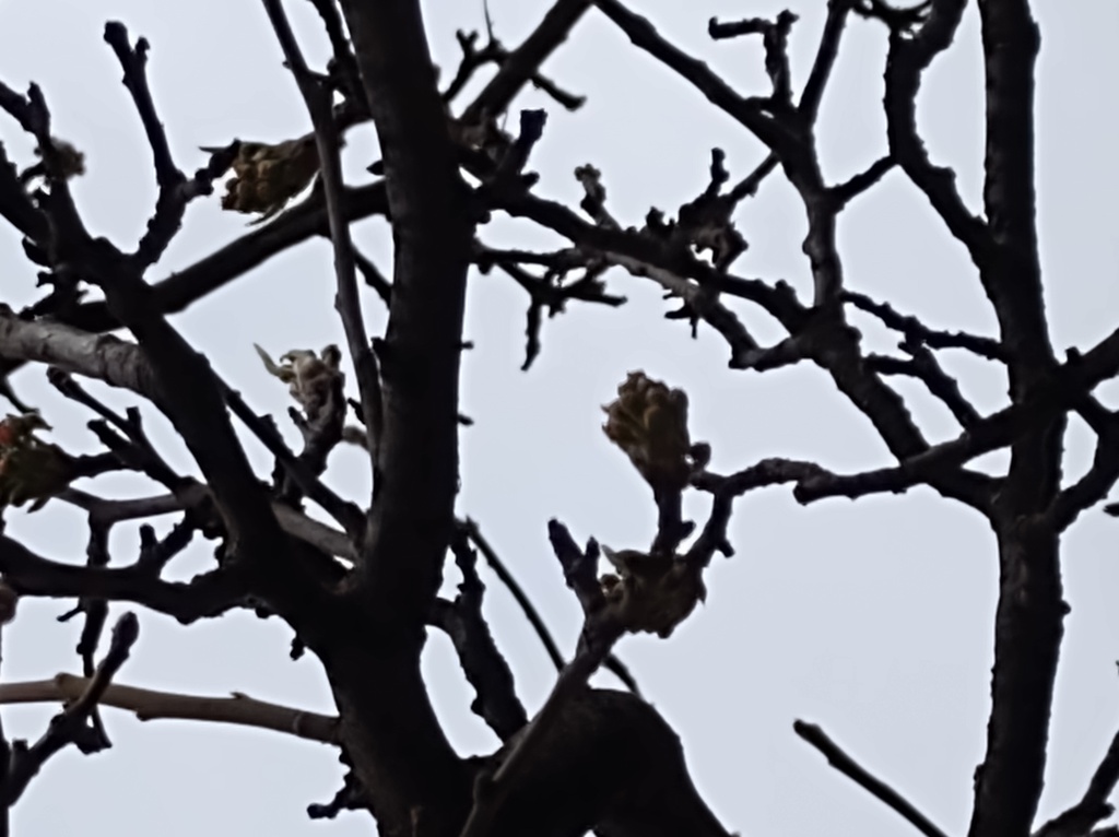 No s'ha trobat l'arxiu